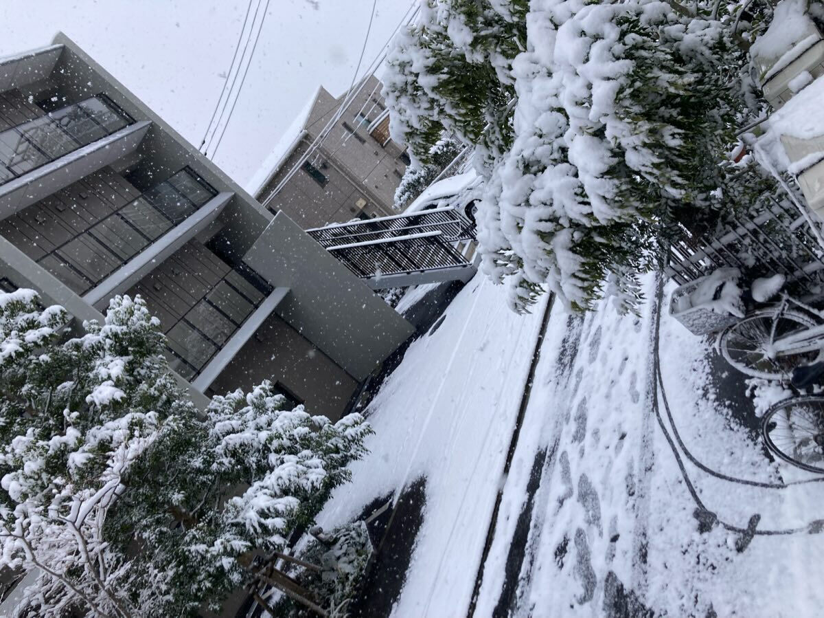 こんばんは🌕